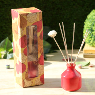 reed diffuser set-corporate gifts-brahmz-indianroyalcrafts-reed diffusers-crafts-gifts